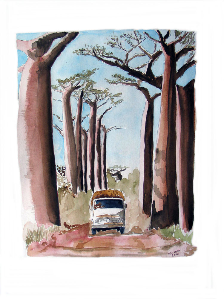 allee-baobabs-camion