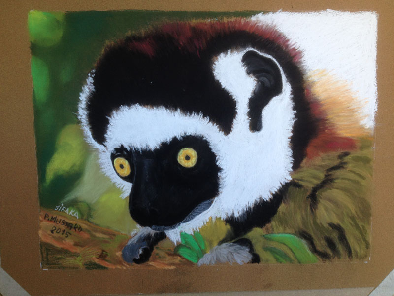 Sifaka