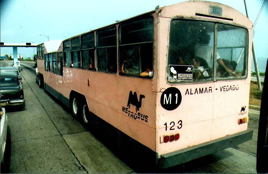018 - Camello.jpg